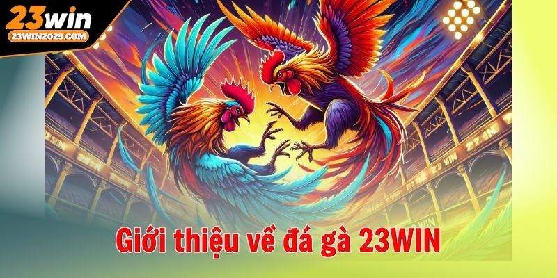 da-ga-23win-kham-pha