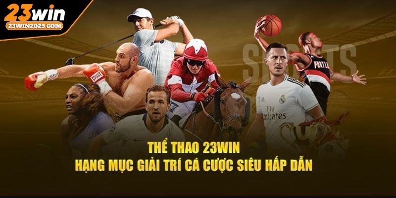 the-thao-23win-doi-net
